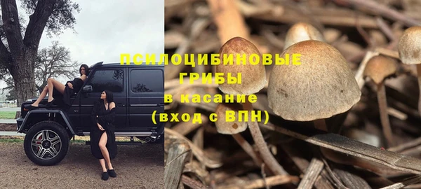 крисы Абдулино