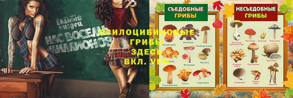 прущие грибы Алзамай