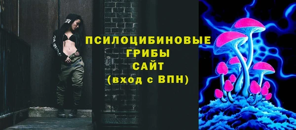 прущие грибы Алзамай