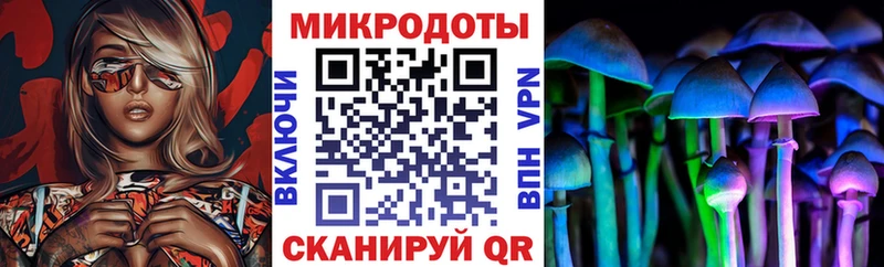Галлюциногенные грибы прущие грибы  Сокол 